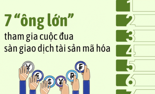 7 “ông lớn" chính thức gia nhập cuộc đua làm sàn giao dịch tài sản mã hóa Việt Nam: Hé lộ động thái từng bên