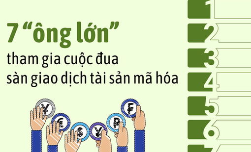 7 “ông lớn" chính thức gia nhập cuộc đua làm sàn giao dịch tài sản mã hóa Việt Nam: Hé lộ động thái từng bên