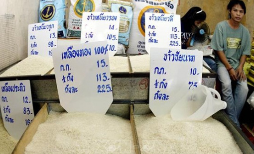 Giá gạo xuất khẩu của Thái Lan giảm xuống mức thấp nhất trong gần 9 năm