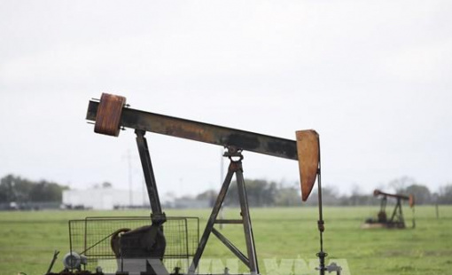 OPEC+ lên kế hoạch tăng sản lượng trong tháng 11/2025