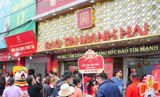 Bảo Tín Mạnh Hải góp 1.000 tỷ vào công ty tài sản mã hóa do bà Nguyễn Thị Loan làm Chủ tịch