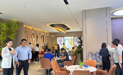 Cuộc đua giữa các dự án căn hộ tại TP.Hồ Chí Minh, lộ diện khu vực hút dòng tiền đầu tư hậu sáp nhập