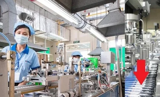 Bán sản phẩm chỉ bằng cốc trà đá khiến 74 quốc gia đặt mua, DN Việt lại “chơi lớn” ở “xứ sở nghìn đảo”