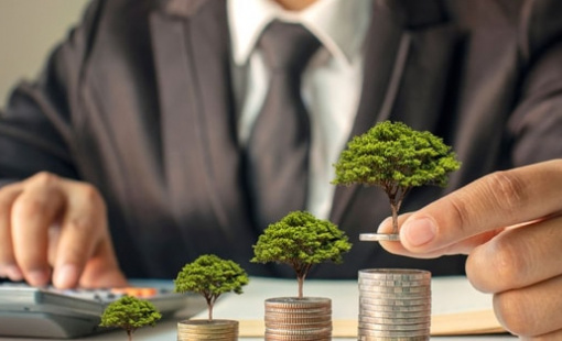 Thay vì "ngồi canh" bảng điện mỗi ngày, vì sao nhà đầu tư chứng khoán nên chọn chiến lược dài hạn?