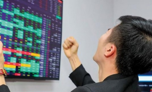 Một doanh nghiệp sắp trả cổ tức tiền mặt "khủng" 100%, thị giá cổ phiếu chỉ ngang cốc trà đá