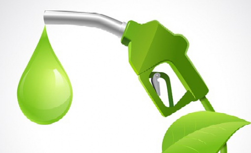 Trung Quốc quan ngại trước kế hoạch cắt giảm ưu đãi cho dầu diesel tái tạo của Mỹ