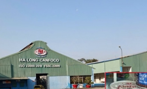 Nóng: Bắt khẩn cấp Tổng Giám đốc Đồ hộp Hạ Long