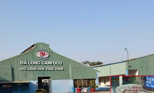 Nóng: Bắt khẩn cấp Tổng Giám đốc Đồ hộp Hạ Long