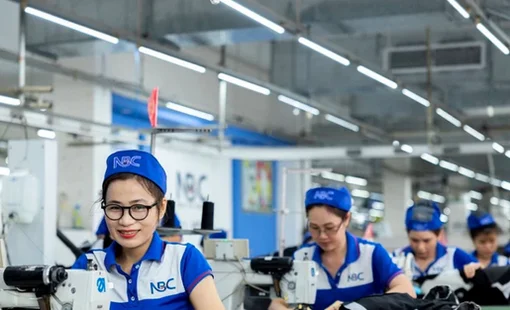 Năm 2025 Việt Nam có hơn 52 triệu người có việc làm