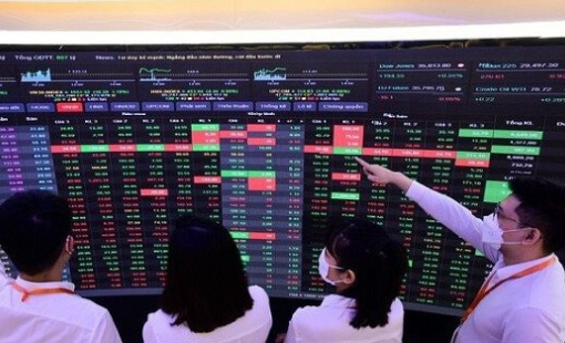 Góc nhìn chuyên gia: Lộ diện 2 nhóm cổ phiếu rơi vào trạng thái quá bán, có khả năng hồi phục mạnh