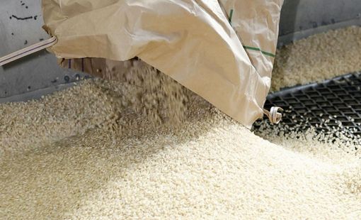 Indonesia chuẩn bị xuất khẩu gạo, ngô và gia hạn trợ giá lương thực