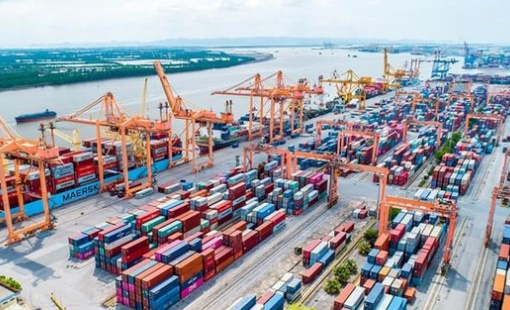 Cổ phiếu "gã khổng lồ" ngành logistics "tím lịm" sau khi đánh tiếng thoái vốn Nhà nước, vốn hóa chạm ngưỡng 3 tỷ USD