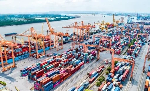Cổ phiếu "gã khổng lồ" ngành logistics "tím lịm" sau khi đánh tiếng thoái vốn Nhà nước, vốn hóa chạm ngưỡng 3 tỷ USD