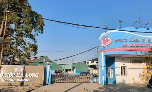 Vụ Đồ hộp Hạ Long: Phát hiện hành vi đưa, nhận hối lộ để cấp giấy kiểm dịch