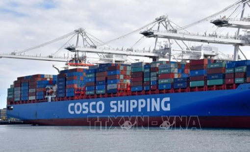 Cảng biển then chốt của Mỹ lập kỷ lục năm bận rộn nhất trong lịch sử