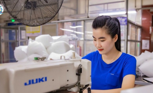 Nhờ đâu TNG đạt lợi nhuận quý 4 tăng 50% so với cùng kỳ?