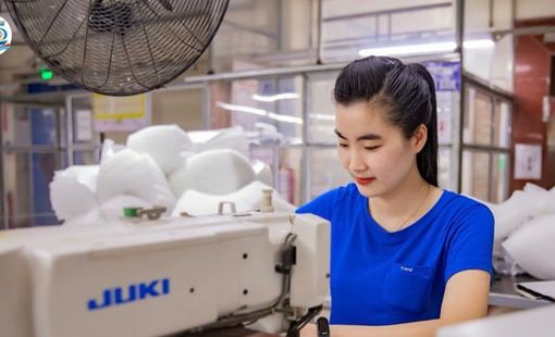 Nhờ đâu TNG đạt lợi nhuận quý 4 tăng 50% so với cùng kỳ?