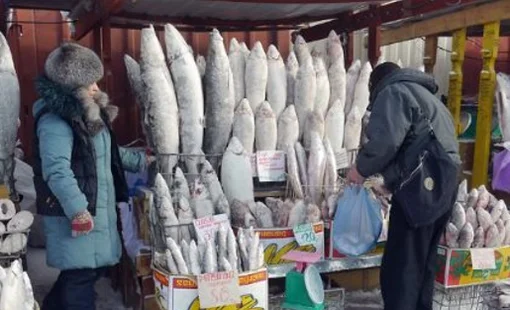Không phải dầu thô hay khí đốt, một mặt hàng của Nga được người châu Âu cực mê: Chi hơn 700 triệu euro mua hàng, giá cao nhất trong nhiều năm