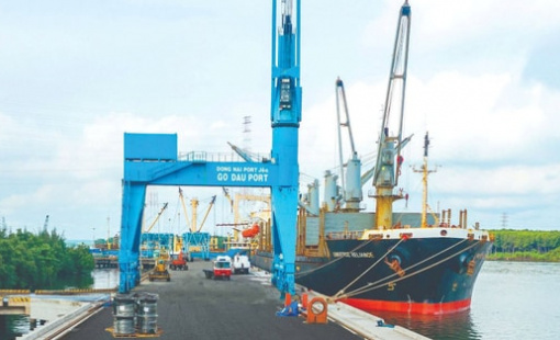 Công ty cảng biển 6.000 tỷ báo lãi kỷ lục, EPS 7.350 đồng, tiền mặt chiếm 50% tài sản