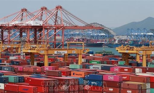 Lĩnh vực bán dẫn chiếm 25% tổng kim ngạch xuất khẩu của Hàn Quốc