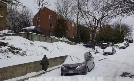 Bão tuyết gây thiệt hại hàng tỷ USD tại Mỹ