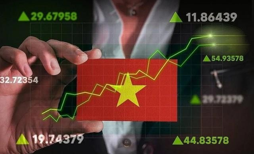 Tự doanh CTCK tranh thủ "tung" gần 500 tỷ đồng mua ròng trong phiên thị trường giảm sâu, cổ phiếu nào được gom mạnh nhất?