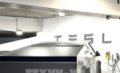 Tesla tụt lại phía sau BYD của Trung Quốc