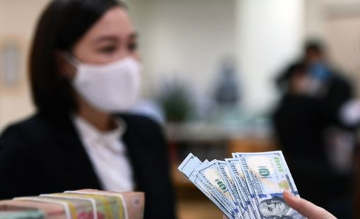 Đồng USD chịu áp lực mạnh từ chính sách nới lỏng của FED, xu hướng tỷ giá sẽ ra sao trong năm 2026?
