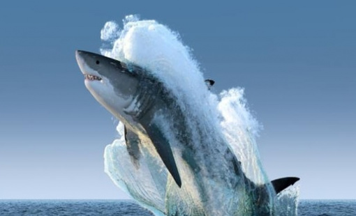 Dòng tiền lớn rục rịch trở lại, chuyên gia hé lộ nhóm cổ phiếu hưởng lợi từ “sóng Tết”