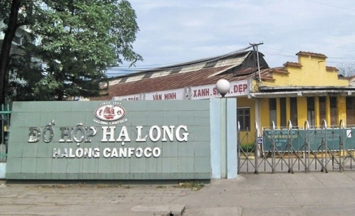 Đồ hộp Hạ Long đang kinh doanh ra sao?