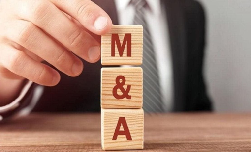 Những thương vụ M&A tỷ USD 2025: Bước đệm nâng tầm hay sự "bán mình" của các thương hiệu Việt?