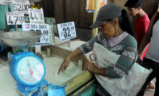 Philippines trở lại thị trường gạo quốc tế sau thời gian tạm dừng