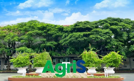 Mẹ của Chủ tịch AgriS và doanh nghiệp liên quan muốn bán gần 90 triệu cổ phiếu SBT