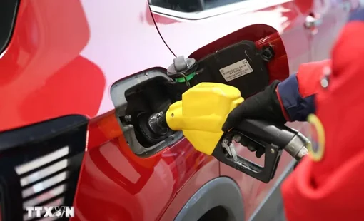 IEA: Thị trường dầu diesel toàn cầu tiếp tục khan hiếm đến năm 2027