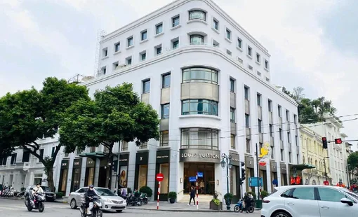 Chuyên gia Savills: Doanh nghiệp cần tái cơ cấu mạng lưới cửa hàng để tối ưu hóa hiệu quả kinh doanh