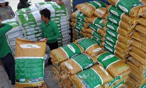 Campuchia xuất khẩu hơn 200.000 tấn gạo sang Philippines