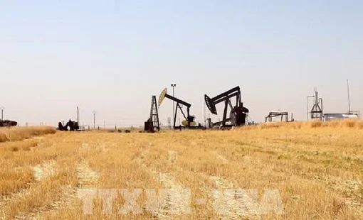 Giá dầu tăng sau vụ cuộc tấn công nhắm vào các cơ sở của Saudi Aramco