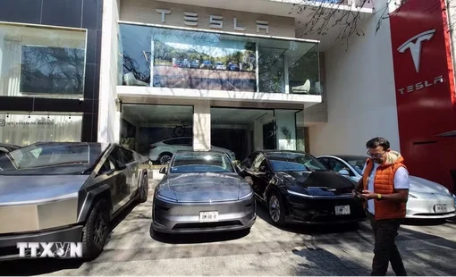 Tesla giữ ngôi vương xe nhập khẩu tại Hàn Quốc