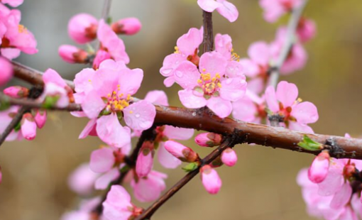 Thị trường chứng khoán Việt Nam thường diễn biến ra sao trong tháng 2?