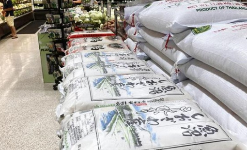 Nhật Bản tìm hướng đi cho mục tiêu tăng xuất khẩu gạo