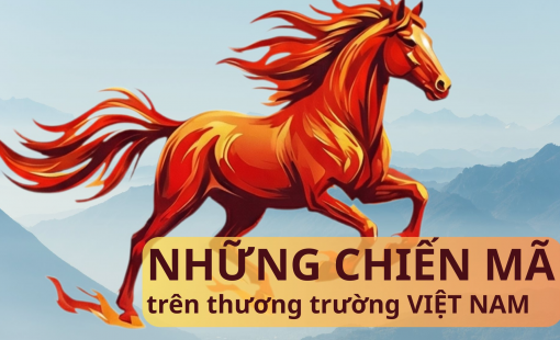 Vận mệnh 'Ngựa chiến': Từ lão tướng dát vàng, vị Chủ tịch 'cô đơn trên sofa' đến con trai tỷ phú Nguyễn Thị Phương Thảo