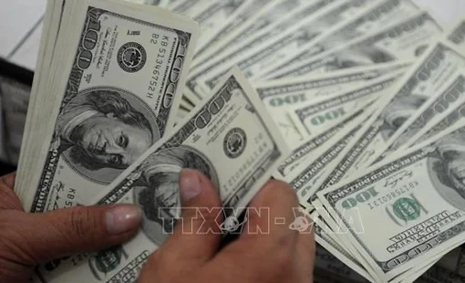 Đồng USD duy trì đà tăng trong phiên giao dịch đầu năm Bính Ngọ