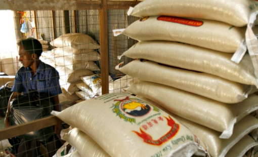 Thái Lan khởi động dự án 1 triệu tấn gạo cao cấp để nâng cao giá trị xuất khẩu