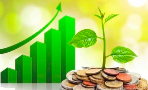 Loạt doanh nghiệp "lì xì" cổ tức tiền mặt cho cổ đông tuần đầu năm mới