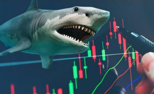 Khối quỹ ngoại cơ cấu danh mục ra sao trước kỳ nghỉ Tết?