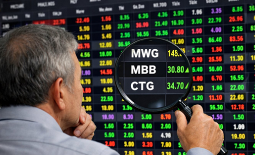 Soi top danh mục các "cá mập" nghìn tỷ: MWG cùng 2 cổ phiếu ngân hàng chiếm sóng