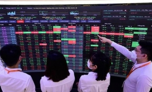 CTCK điểm tên 6 doanh nghiệp có nền tảng cơ bản tốt, định giá hợp lý kỳ vọng hút mạnh dòng tiền