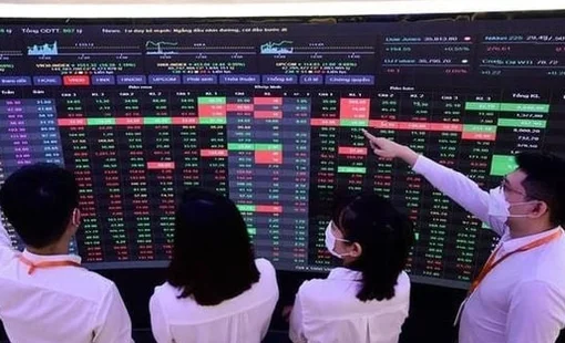CTCK điểm tên 6 doanh nghiệp có nền tảng cơ bản tốt, định giá hợp lý kỳ vọng hút mạnh dòng tiền