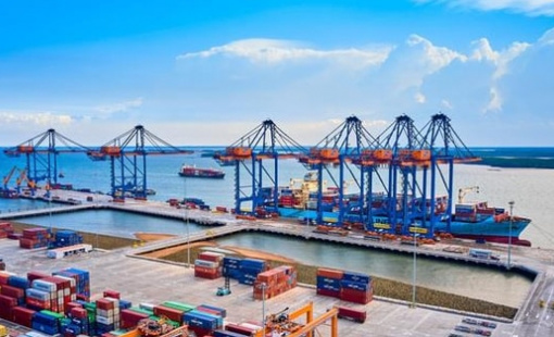 Cổ phiếu "gã khổng lồ" sở hữu cảng nước sâu lớn nhất Việt Nam "tím lịm" sau khi báo lãi lớn, cá mập âm thầm gom hàng