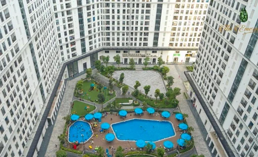 Căn hộ chung cư dẫn dắt xu hướng đầu tư vào bất động sản tại Việt Nam của Việt kiều